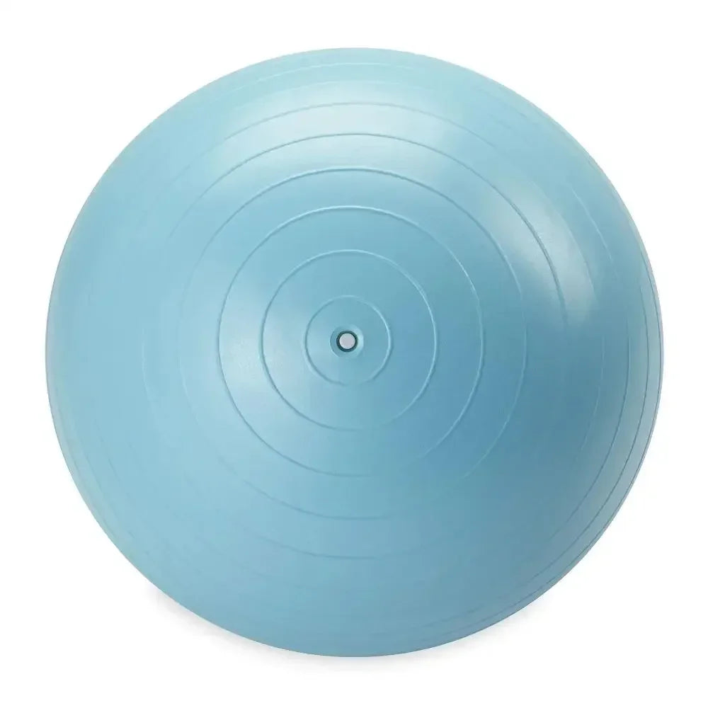 Reebok Weighted Stability Ball With Pump Included For Exercises