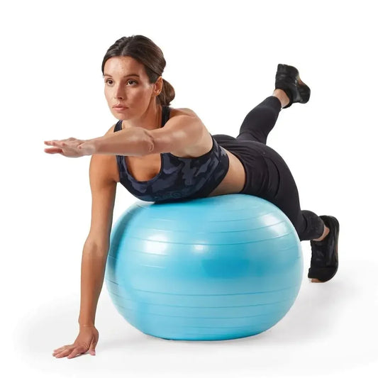 Reebok Weighted Stability Ball With Pump Included For Exercises