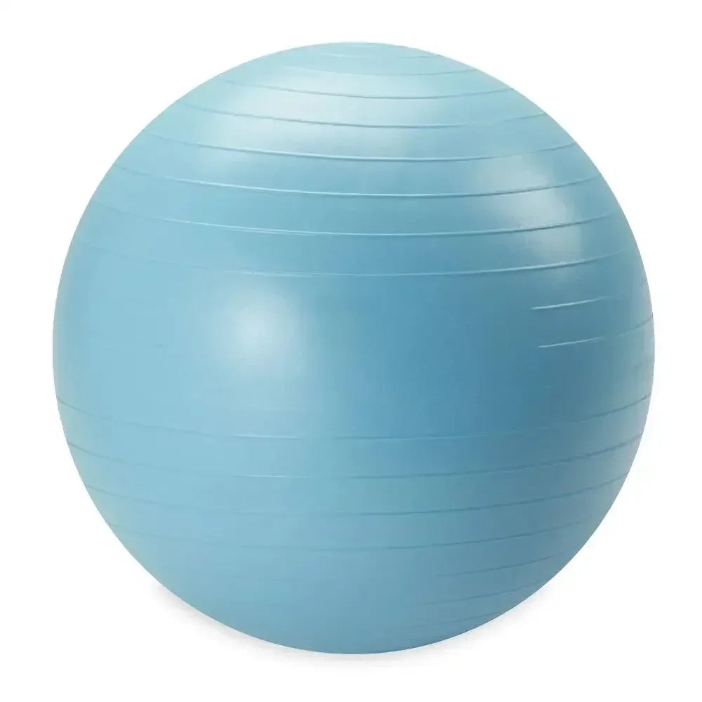 Reebok Weighted Stability Ball With Pump Included For Exercises
