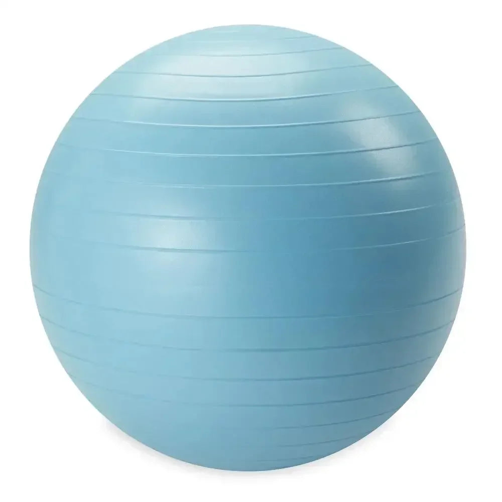 Reebok Weighted Stability Ball With Pump Included For Exercises